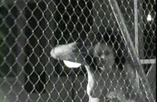 πορνό σεξ Σέξι ξανθιά milf σε ένα κατάστημα