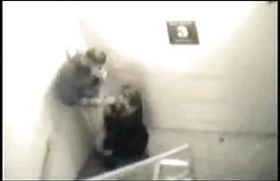 πορνό σεξ Σέξι ώριμη μητέρα και η μητέρα με πεινασμένοι κόλπους