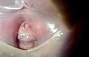 πορνό σεξ Melissa Δύση παίρνει κώλο του τρίβονται και πατήσαμε