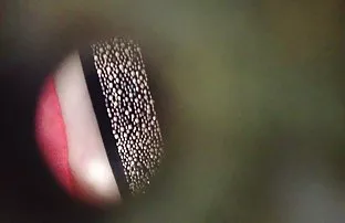 πορνό σεξ Δεν θα μπορούσε να περιμένω να πάρει το στόμα μου στο λευκό μουνί της Νάντια!