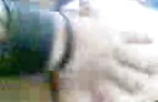 πορνό σεξ Z69 k δ 79