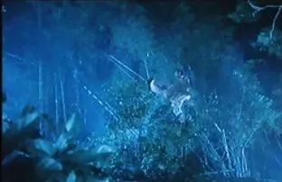 πορνό σεξ Horny milf του μουνί παίρνει τεντωμένο από παχύ μαύρο dong