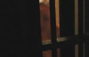 πορνό σεξ Πλαγίως shag!