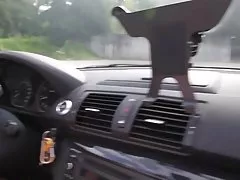 πορνό σεξ Ζεστό ατμώδης μιλφ, γυναίκα αρπακτικό